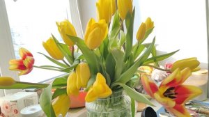 весна в деревне, тюльпаны, деревенский уют, жизнь в деревне