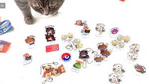 ГЕНШИН ИМПАКТ С ПОЖЕЛАНИЯМИ из Магнита!