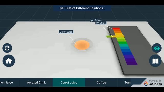 2 .10C02.3 CV2 pH स्केल | pH Scale смотреть онлайн
