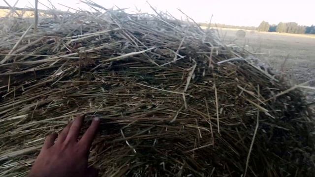 Разговор о пресс-подборщиках. смотреть онлайн