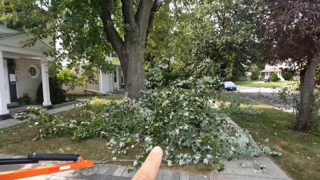 Canada🇨🇦 🍁 davlatida yurgan O’zbek akalar bir kunda qancha pul topishadi? #canada #amerika #uzbek смотреть онлайн