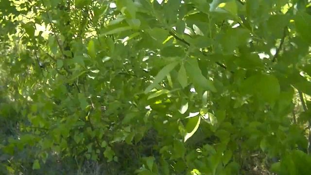 Переосмысление жизни и взглядов, выдвижение новых гипотез