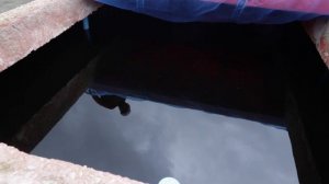 How fish sauce is made, Megachef Factory