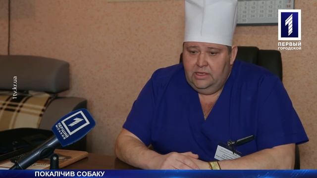 Покалічив собаку чи захищав дитину?
