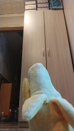 как я ударил младшего брата