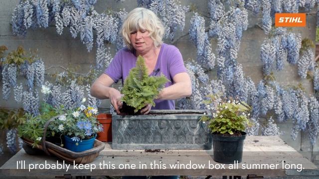 STIHL Garden Tips | Plants in pots & window boxes with Jane Moore | STIHL Tutorial смотреть онлайн
