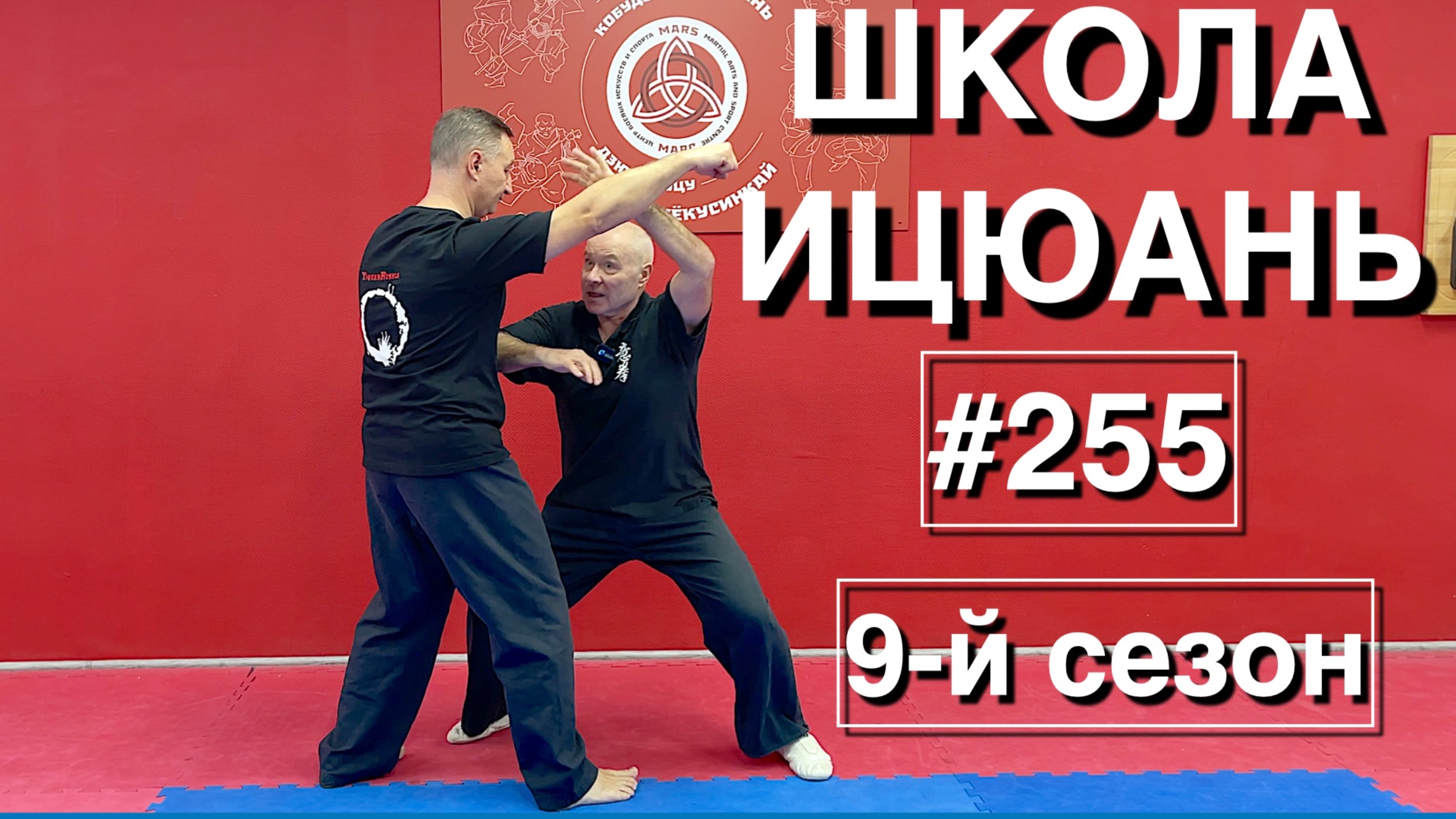 Школа Ицюань-255 / Дань Дуаньшоу - 4 варианта / Переход к ударам / 3-й уровень