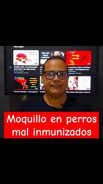 Moquillo en perros mal inmunizados