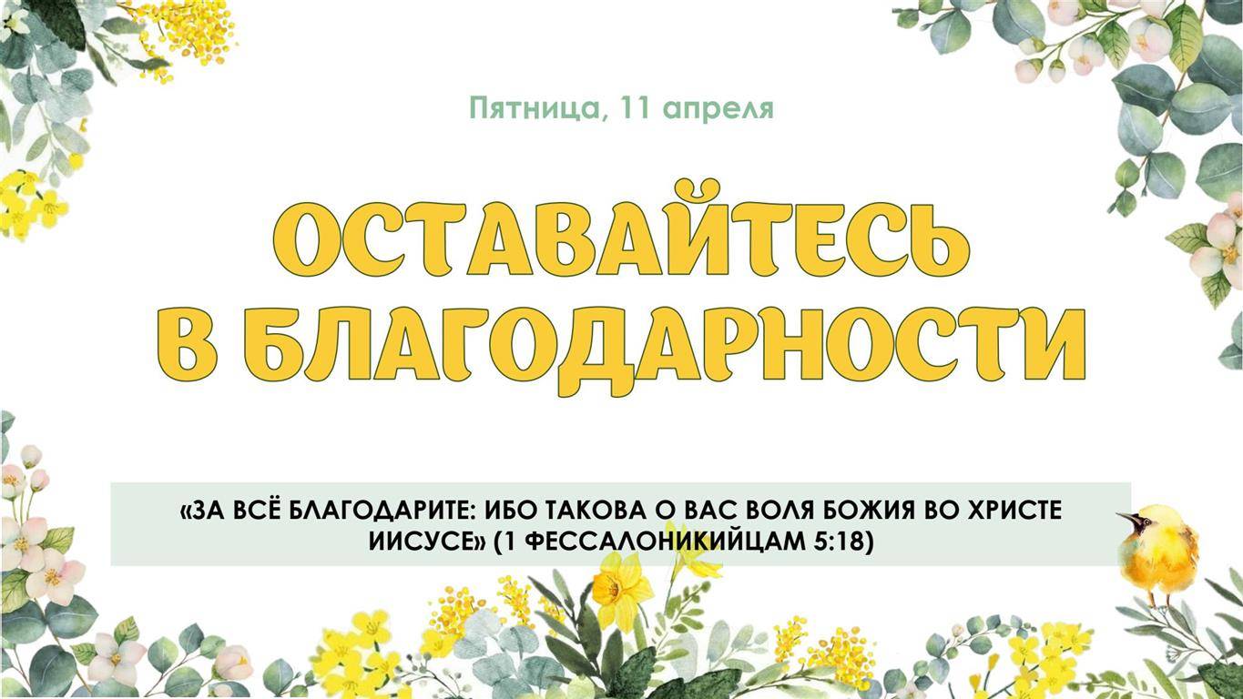Оставайтесь в благодарности