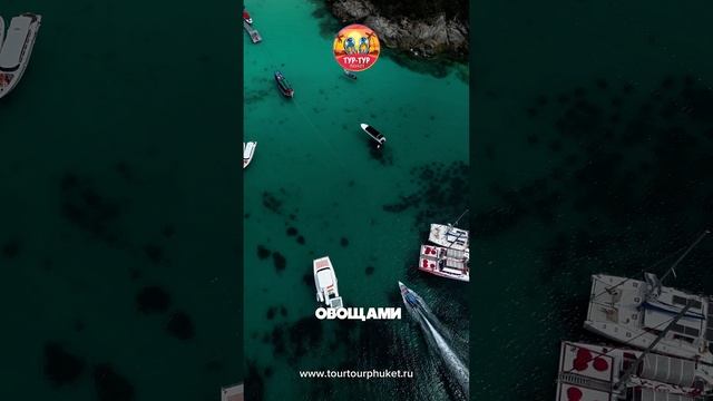 Прогулка на катамаране Элизабет