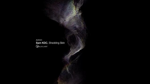 Sam KDC | False Idols [Auxiliary 2022]