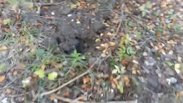 ЧЁРНЫЕ КОПАТЕЛИ смотреть онлайн