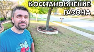 Восстановление газона | Начало...
