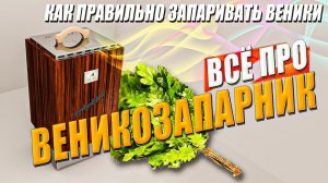 Как запарить веник в бане | Всё про ВеникоЗапарник "ПАРЕНЬ" за 5 минут