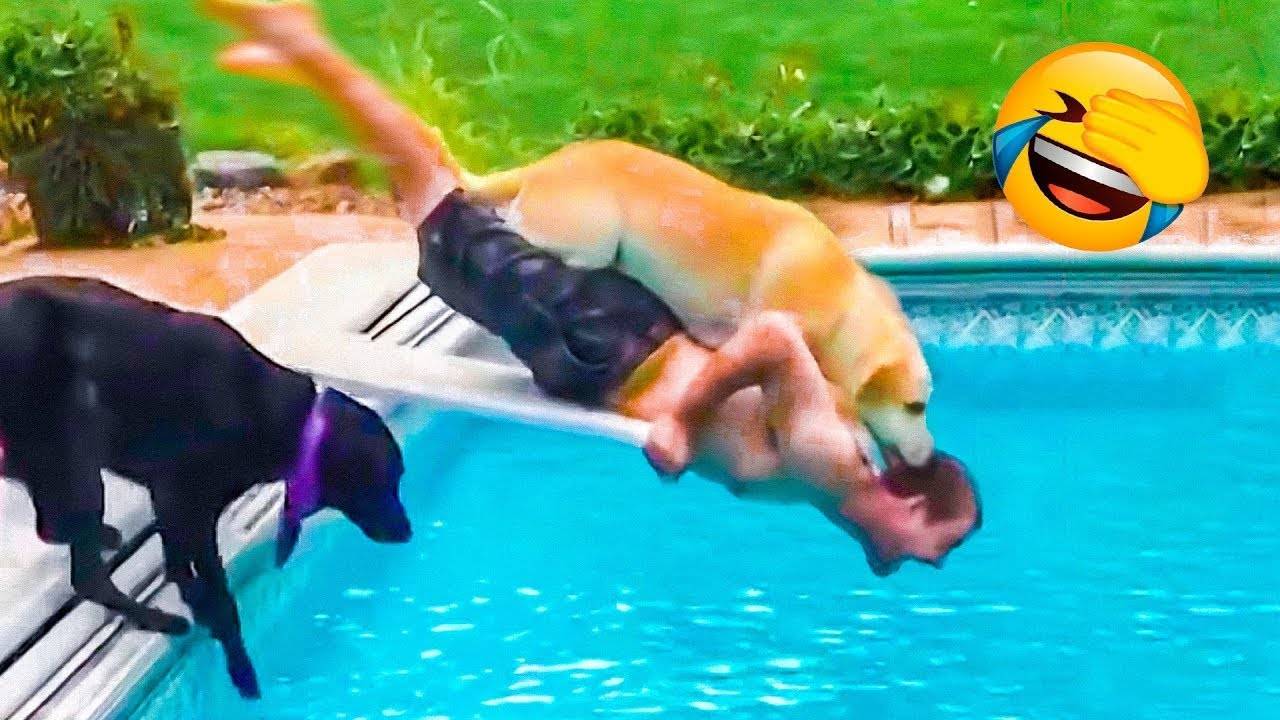 Я РЖАЛ ДО СЛЕЗ СМЕШНЫЕ ПАДЕНИЯ и НЕЛЕПЫЕ СИТУАЦИИ Смешные видео - Лучшие ПРИКОЛЫ