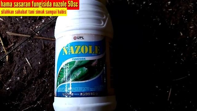 penjelasan fungisida nazole 50 sc untuk tanaman cabe || fungisida yang sangat bermanfaat!!