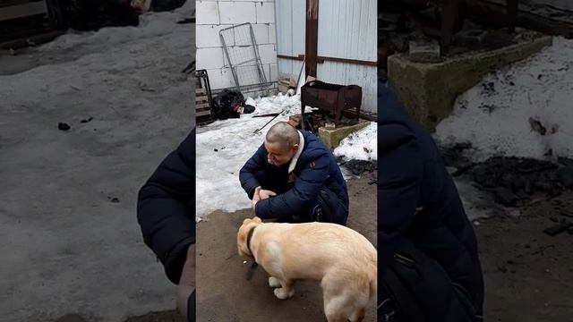 Каждую пятницу я в гов.... смотреть онлайн