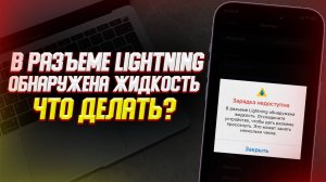 В разъем Lightning попала вода. iPhone не заряжается