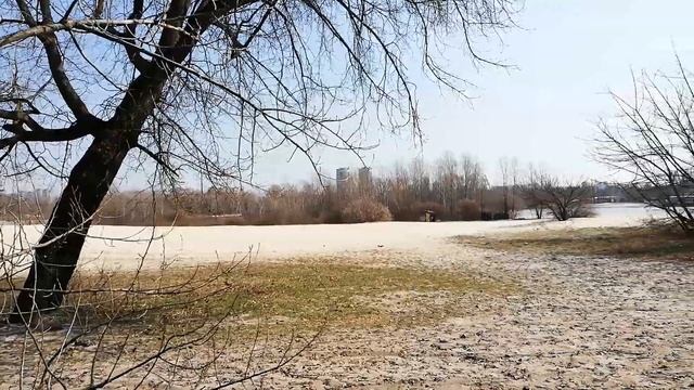 Пляж на Трухановом острове в Киеве.