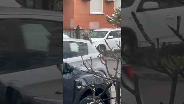 людоловы
