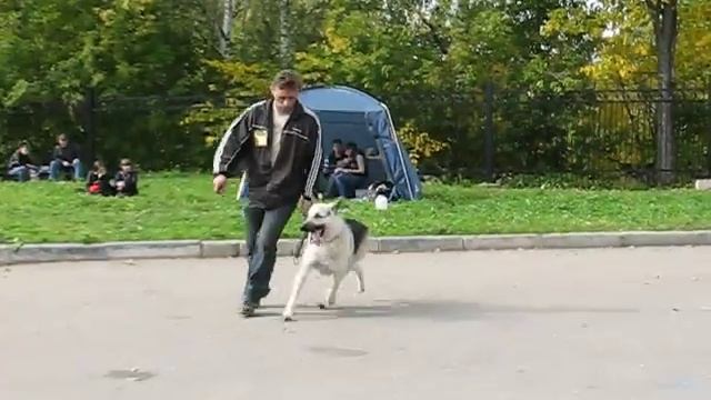 MVI_3762.AVI Аргус смотреть онлайн