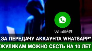 За передачу аккаунта WhatsApp* жуликам можно сесть на 10 лет