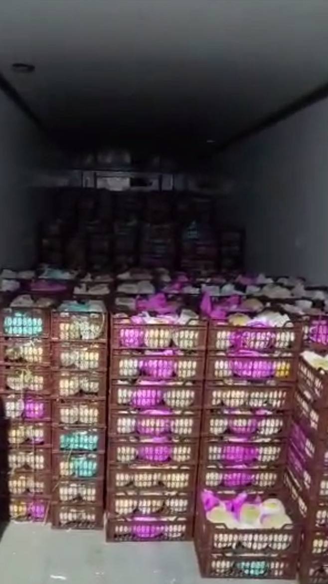 Дыня оптом из Ирана