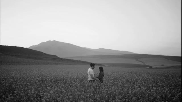 ZOZULYA - Чорне і біле (cover) смотреть онлайн