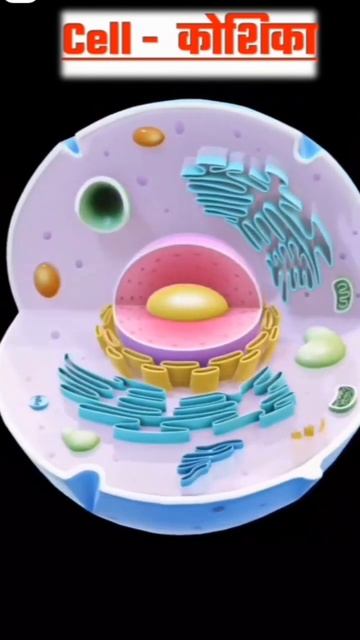 cell 3d with  animation #computerscience #avadhojhasir #computer #sciencecomputer