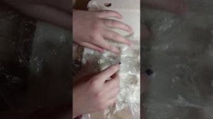 домашняя мини ферма лука