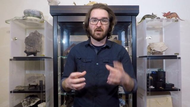 Phylogeny of Long Necked Reptiles смотреть онлайн