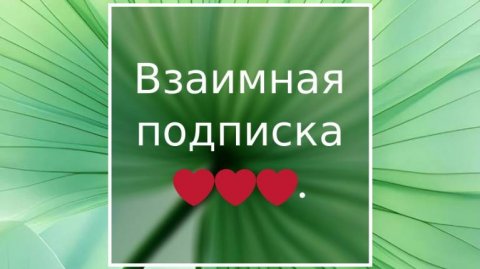 Взаимная подписка ❤️#взаимнаяподписка