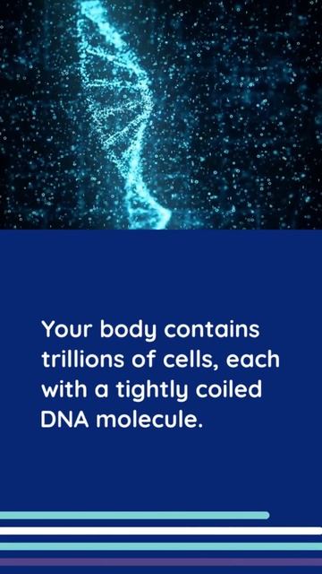 "The Hidden Marvels of DNA: Unraveling the Secrets of Life's Building Blocks!"