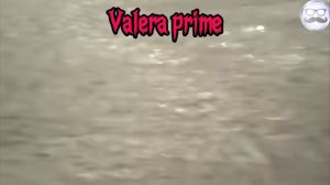 PRIME VALERA
