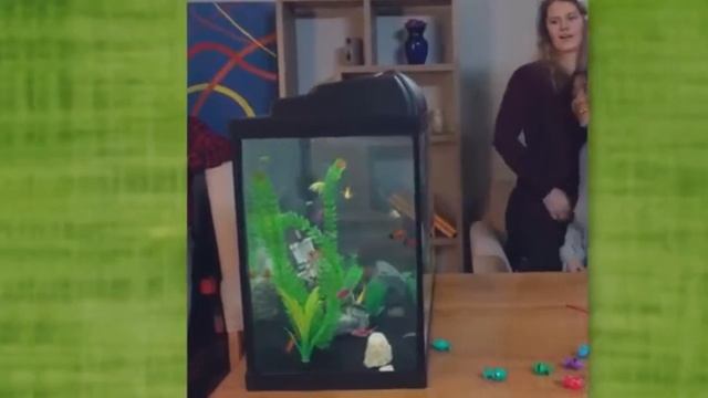 Гений видео монтажа Зак Кинг снова выложил новые видео смотреть онлайн