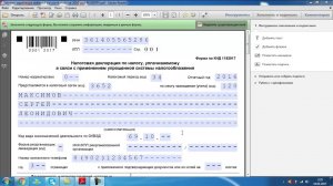 Титульный лист Декларация УСН ИП образец