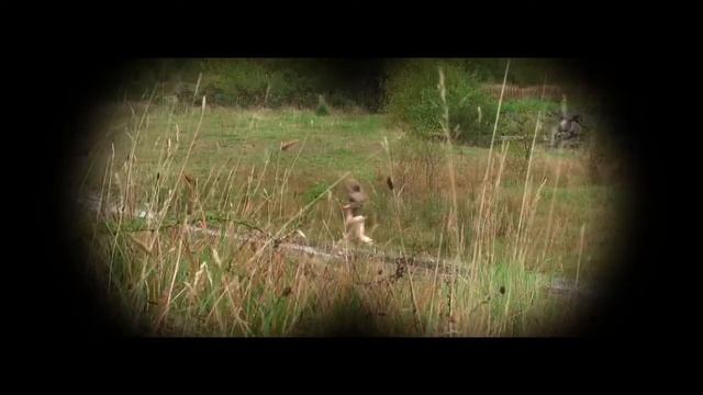 Little Eris - Wreck n Rolling 2014 смотреть онлайн