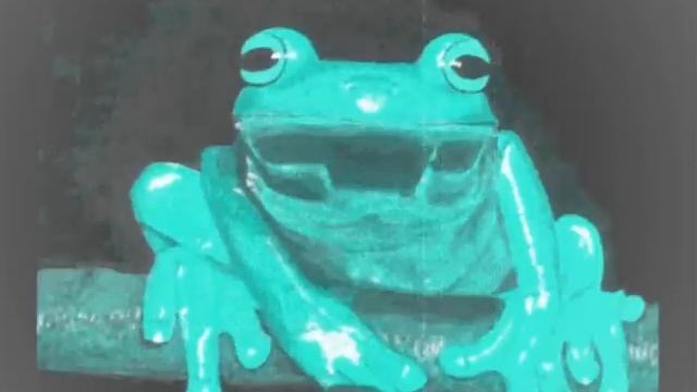 Boris Bukowski - Hör! смотреть онлайн