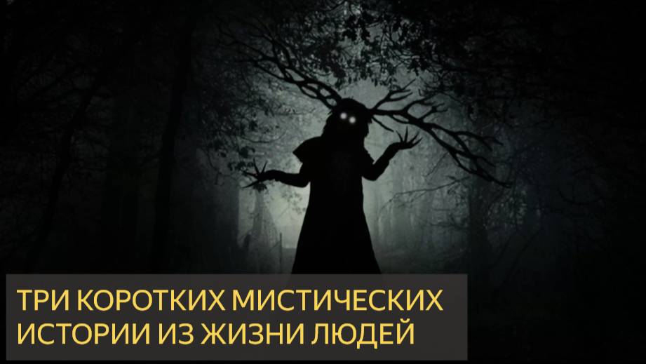 Три коротких мистических истории из жизни людей