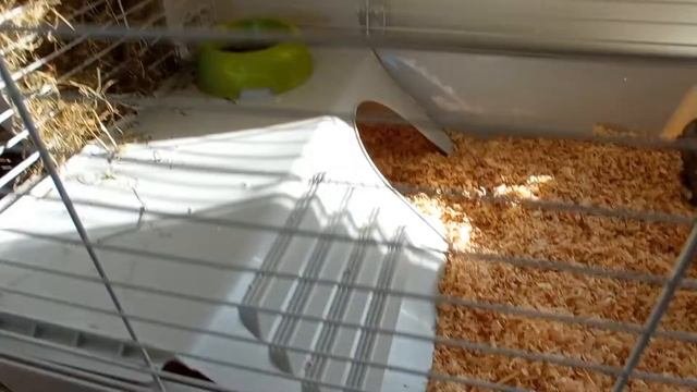Ferplast Rabbit 100 - Zoomalia