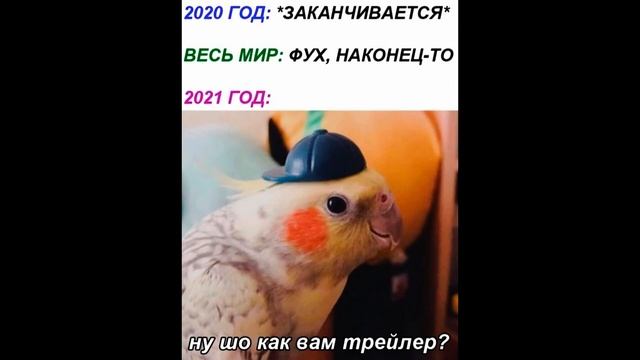 САМЫЙ КОРОТКИЙ МЕМ/ЧАСТЬ 46 смотреть онлайн