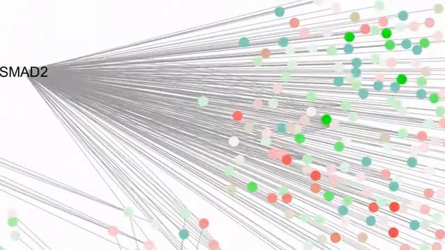 Bioinformatics - IGF1R, GSK3B, SMAD2