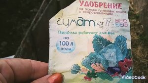 Чем можно заменить золу, когда нужен растениям калий.