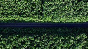 Видео фон — Дорога