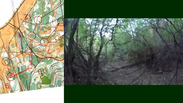 Спортивное ориентирование - Октябрьский.Классика.19.09.2021 смотреть онлайн