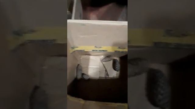 Видео вибросито ВС-14 с еловыми ветками, разделение на 5 фракций-360p смотреть онлайн