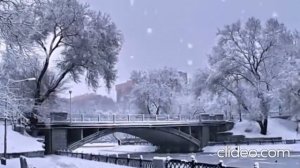 Моцарт. Соната 12 фа мажор 2 часть Адажио. видео: Vera D