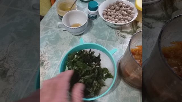 первая крапива. удивляться жизни