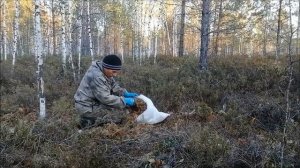 Морковь в мох.Провожу эксперимент по хранению моркови.