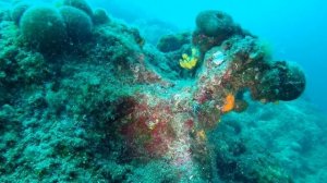 Scuba Diving Croatia